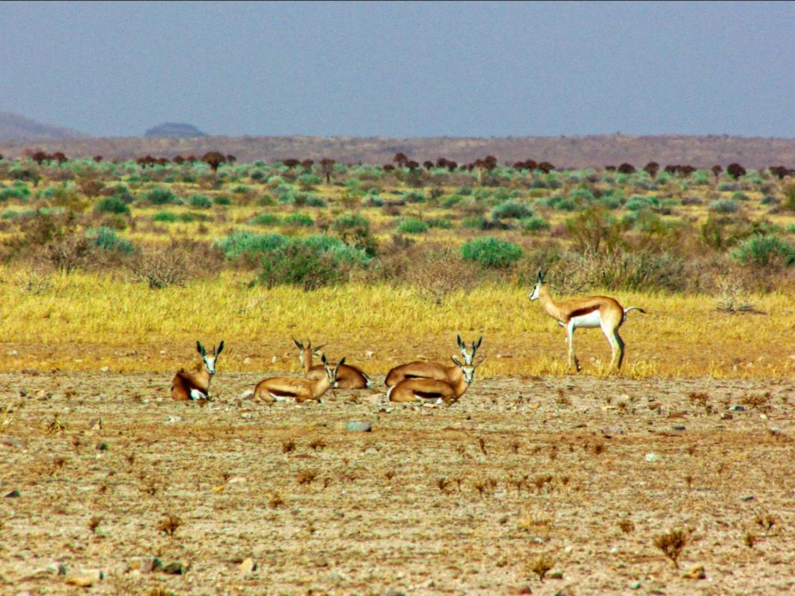 Mount Canyon Guest Farm كيتمانشوب المظهر الخارجي الصورة