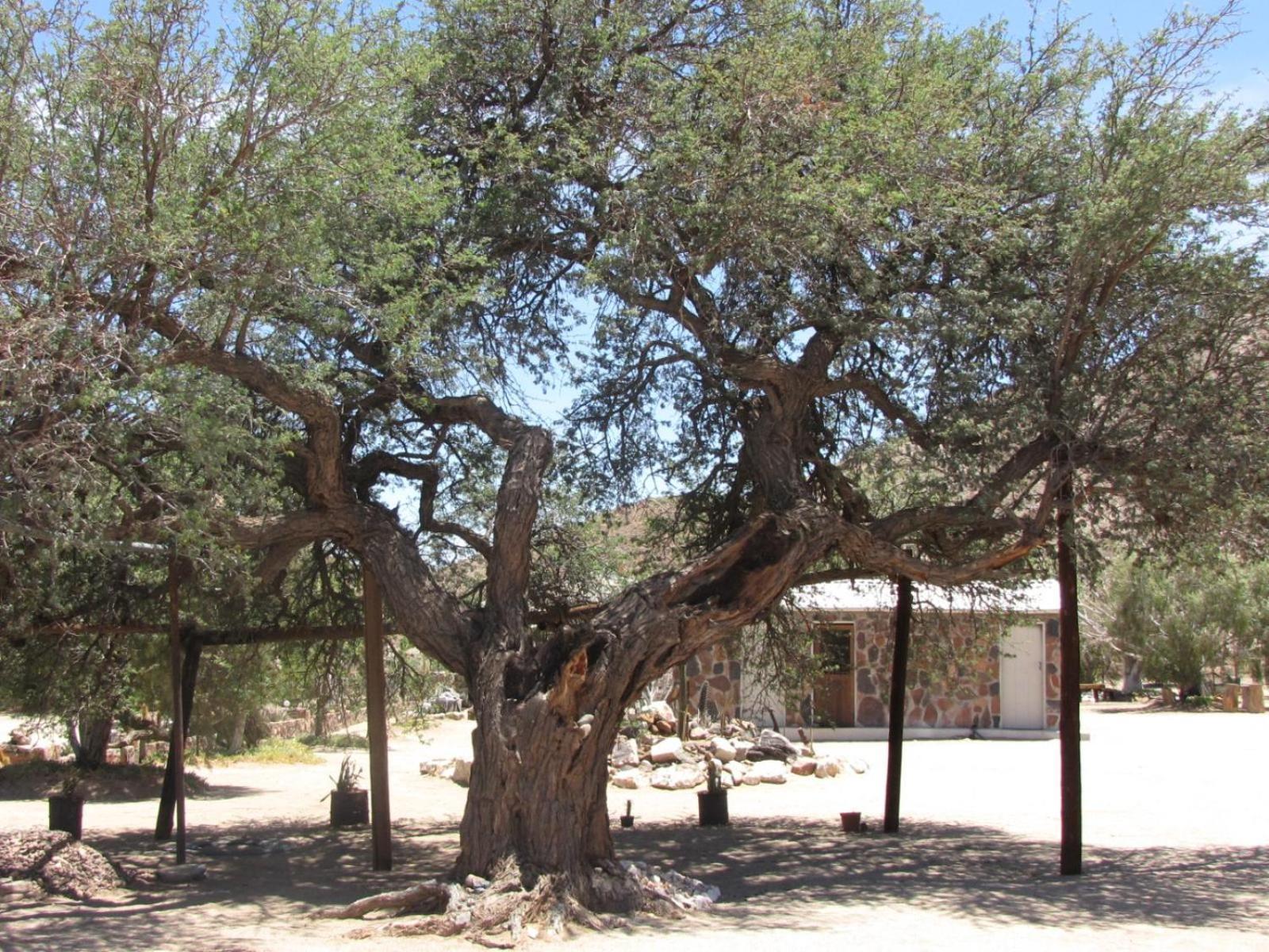 Mount Canyon Guest Farm كيتمانشوب المظهر الخارجي الصورة